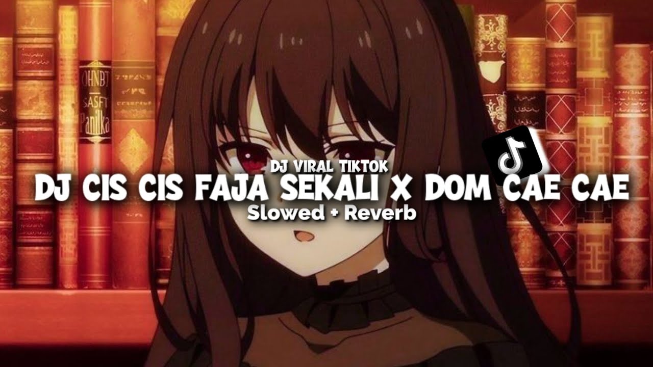 DJ CIS CIS FAJA SEKALI X DOM CAE CAE STYLE LAMBADA ( Slowed & Reverb )