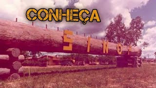 HISTÓRIA DE SINOP UMA CIDADE PLANEJADA PARA SER O NÚMERO 1 DO BRASIL