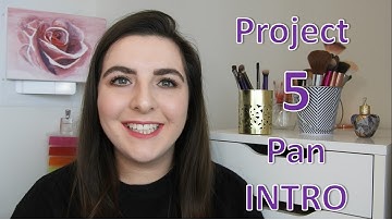 Project 5 Pan: Intro