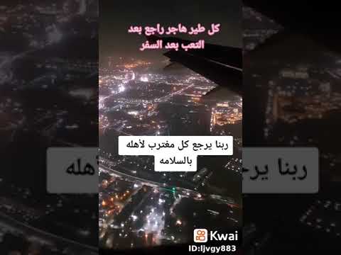 كل طير