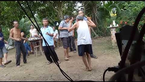 Nhacsongsang-annhaumientay