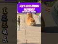 TOP 5 CUTEST ANIMAL MOMENTS - THEY ARE SOO CUTE