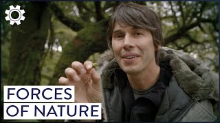 The Strange Physics Of Living Things, With Brian Cox