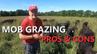 is mob grazing worth it on a small farm? pros & cons