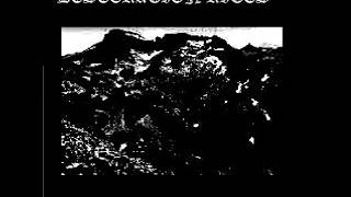 Celebrity Desecration Rites : Shedding Worship at Cold Disease (Full Demo) Net Worth