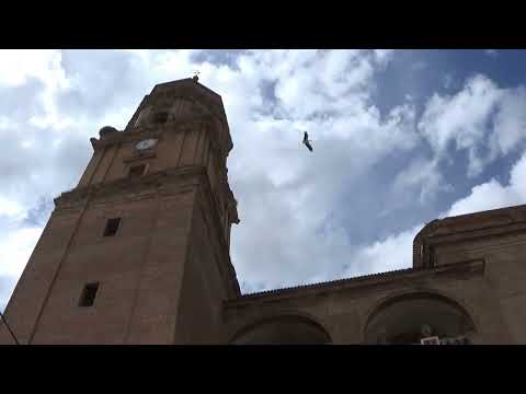 Fun Things to Do in Murillo de Rio Leza | Travel Guide (2024) | Best Places to Visit