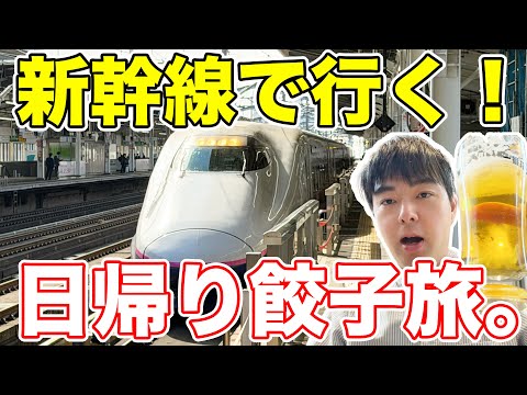 東北新幹線で行く、宇都宮餃子の旅。