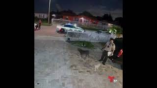 Un policía de #MiamiDade disparó su arma 7 veces contra un perro American Bully de 8 meses y lo mató