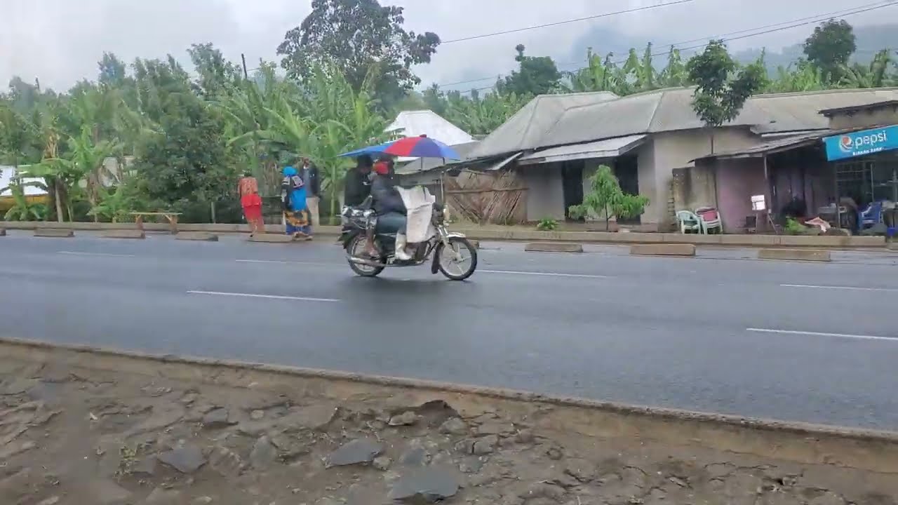 Motorcycle Umbrella