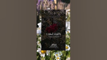 إنا أعطيناك الكوثر سورة الكوثر #راحة_نفسية #القرآن_الكريم #المغرب #الجزائر #الاردن #السودان