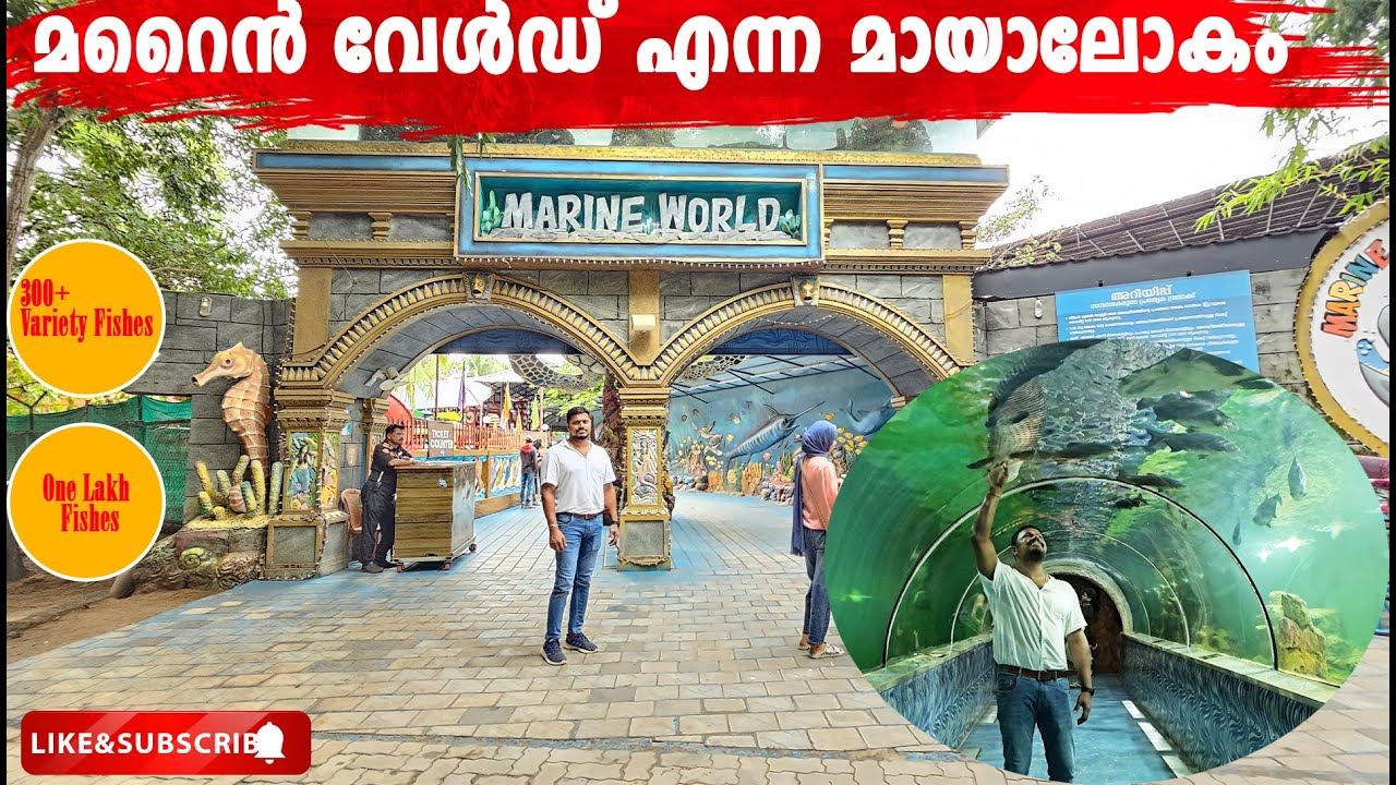 Marine World Aquarium Chavakkad ഇന്ത്യയിലെ ഏറ്റവും വലിയ പബ്ലിക് അക്വേറിയം