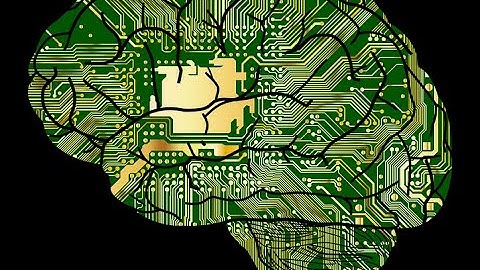 The computer metaphor of the mind