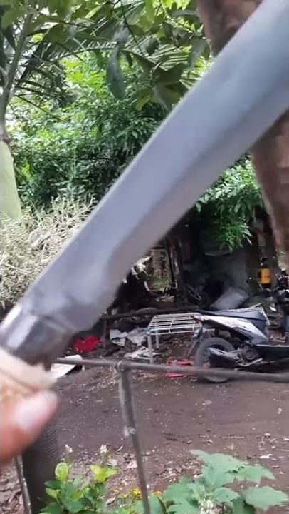 CALOK GOLOK PARANG BABAT POHON KAYU TEBAS RANTING KUPAS KELAPA | BAJA PER SUPER TAJAM PAKSI