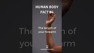 Go Try It Out And Comment What You Found