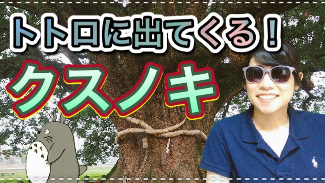 植物編】ジブリアニメの名作の一つ、となりのトトロにも出て来る 