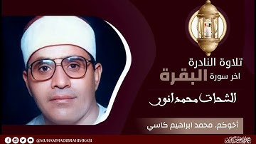الشيخ الشحات محمد انور || سورة البقرة النادرة