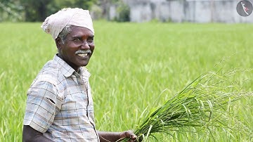 फसल उत्पादन एवं प्रबंध | Part 2/2 | Crop Production And Management  | Hindi | Class 8