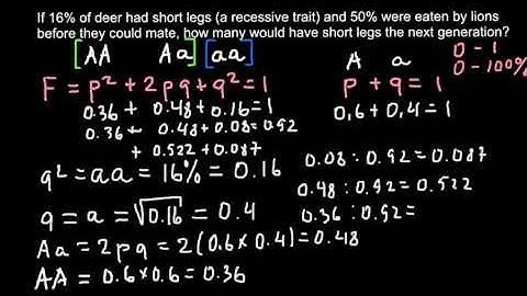 Population Genetics and how to solve Problems