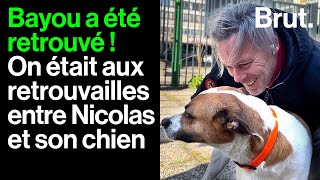 50 jours après avoir été volé, il retrouve son chien : l'incroyable journée de Nicolas et Bayou