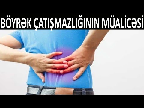 Video: Pişiklərdə Xroniki Böyrək çatışmazlığının (CRF) Səbəbləri Və Simptomları