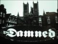 Life goes on(song)-The Damned