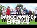 Tones and idance monkey