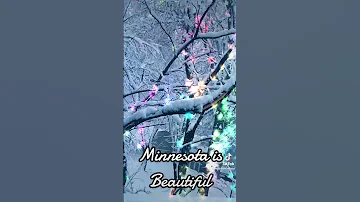 Minnesota is beautiful #minnesota #nature #minnesotacheck #naturevibes #outdoors #outdoor #snow #mn