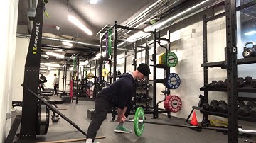 TonyGentilcore.com - Landmine Sways