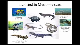 Global Distribution Achieved by Halisaurine Mosasaurs Explained by a New Discovery from Japan