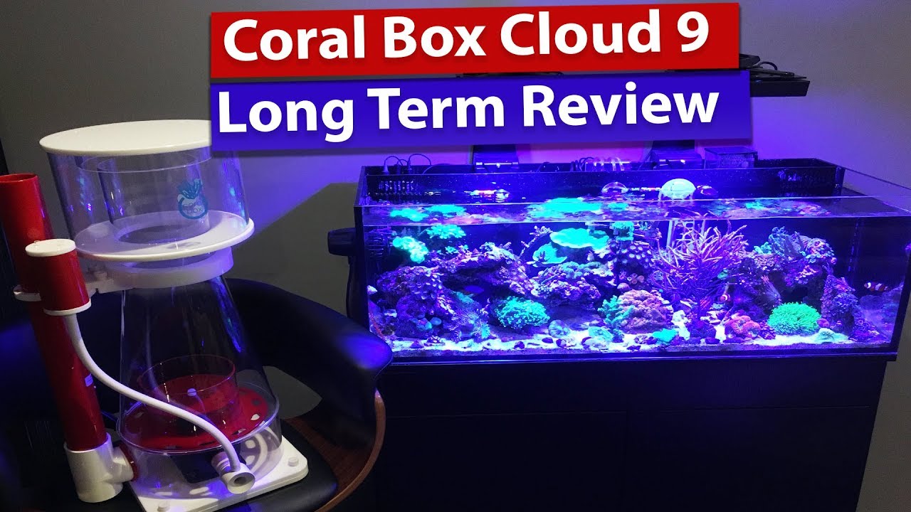 Coral Box Cloud 9 Protein Skimmer Review
