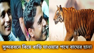 Sundarban- সুন্দরবনে বিয়ে বাড়িতে বাঘের হানা- Gopali - Voice Of Gopalganj