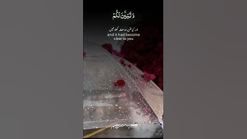 وسكنتم في مسكن || تلاوة مؤثرة بصوت القارئ عبدالرحمن مسعد #عبدالرحمن_مسعد #اكسبلور #لايك