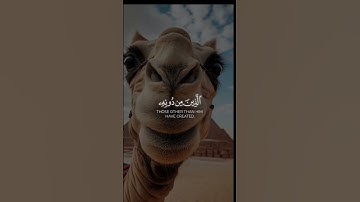 هذا خلق الله ✨ #قرآن #القرآن_الكريم #اكسبلور #لايك #تلاوة_خاشعة #آيات #اسلام_صبحي