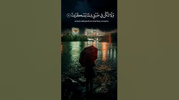 ولا تحزن ..  القرآن مواساة لقلبك 🌿 القارئ إسلام صبحي Islam Sobhi _ حالات واتس قرآن 🍂