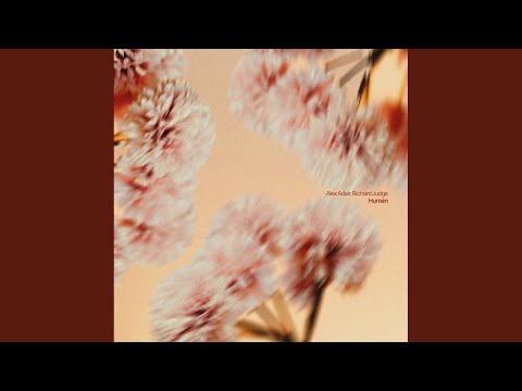 Music Video Preview
