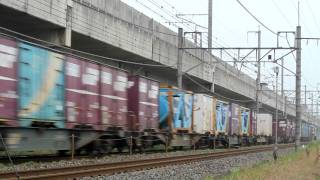 JR宇都宮線　貨物列車(EF210-123+コキ)　通過
