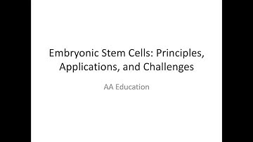 Tissue Engineering - Embryonic Stem Cells - 2