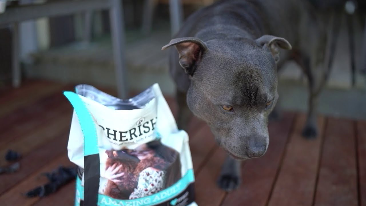 Cherish Pet Food Available At PetStock