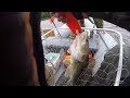 Рыбалка на Западной Двине 2018