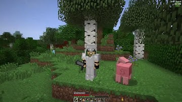 REVENGE OF THE C-TEAM :: MODDED MINECRAFT E2