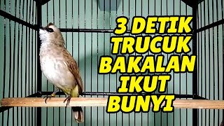 Trucukan mana YANG GAK NYAUT dan IKUT TARUNG dengan trucukan GACOR ini