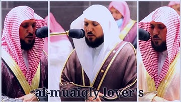 اﻹصدار المرئي للتلاوات الكردية | لشهر ربيع اﻷول والثاني 1442 | فضيلة الشيخ د.ماهر المعيقلي