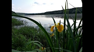 Дністер.28.05.2023р.#дністер#річка#відпочинок#релакс#співпташок#мирненебоукраїни#перемогаукраїни#