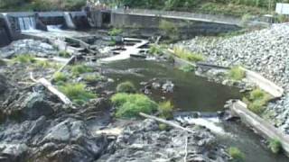 The Removal of Savage Rapids Dam