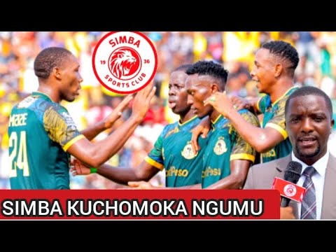 SIMBA PIGO KUBWA LAIBUKA KUCHOMOKA NGAMIA KUPENYA TUNDU LA SINDANO MASHABIKI HAI HOII