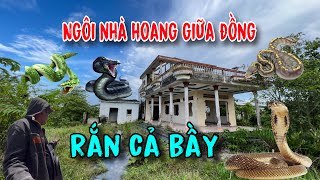 Ngôi nhà hoang giữa đồng , nơi trú ngụ nhiều loài rắn