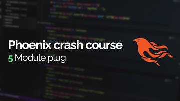Phoenix crash course #5: Module plug