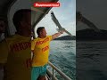 Чайки выхватывают еду у туристов - на пароме по Мраморному морю
