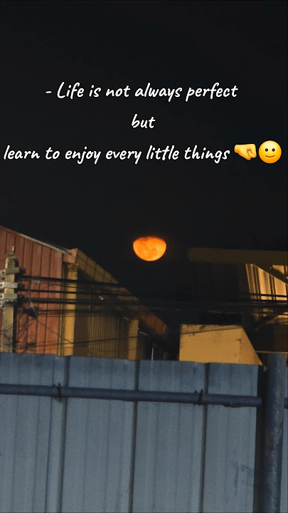 Dont just survive , live & enjoy every little things in your life#sunset #foryou  #motivation #enjoy