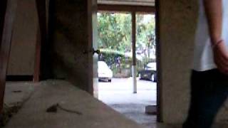 PICT0420